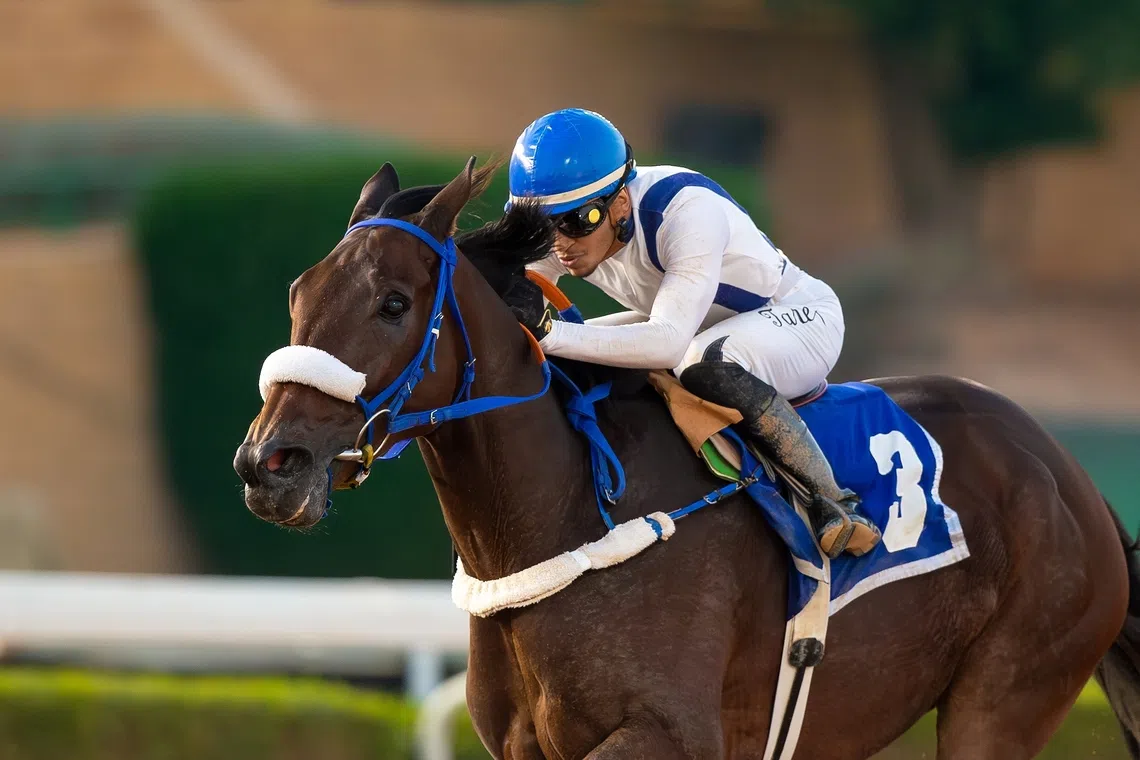 Thundersquall revives bid for Taif Cup after strong showing