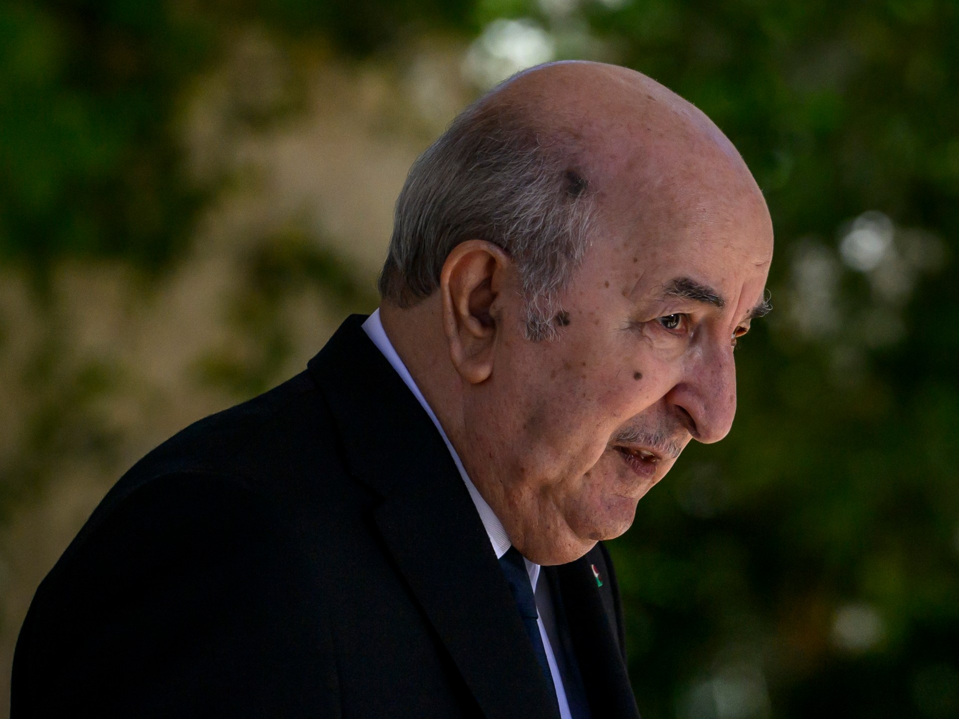 Algeria Deployed Fighter Jets to Niger to Counter Coup Bid