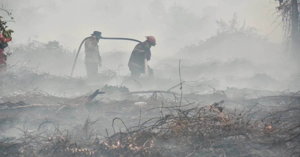 Indonesia battles persistent fire crisis despite intensive containment efforts