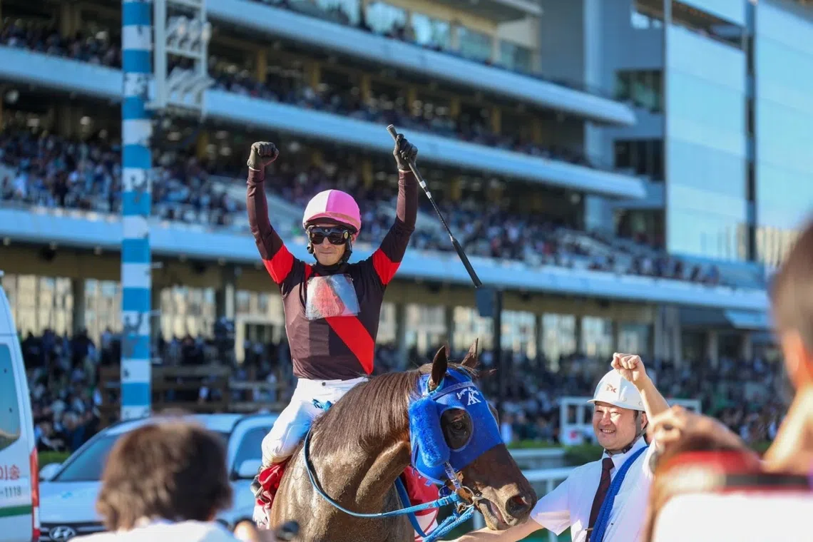 Japanese horses dominate Korea Cup and Korea Sprint racing events