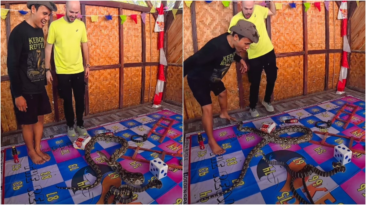 Boys Play Snakes and Ladders With Live Python in Viral Video