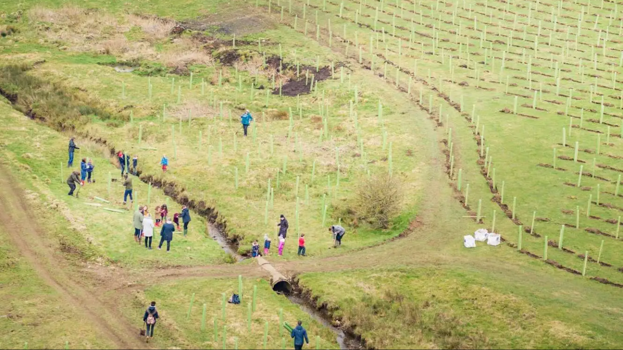 UK Estate's Rewilding Experiment Yields Remarkable Biodiversity Gains