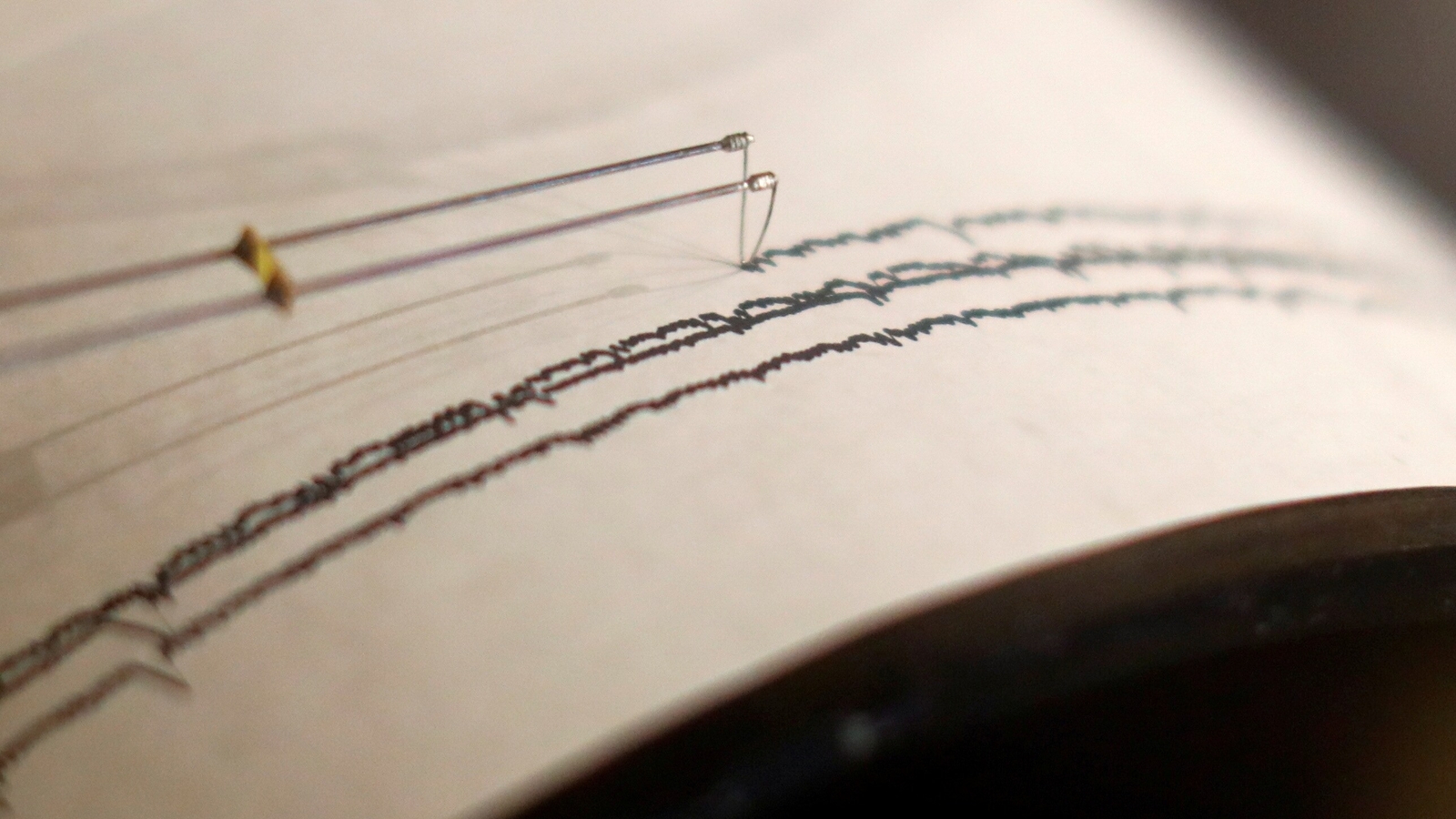 Bengaluru experiences minor earthquake; officials reassure public