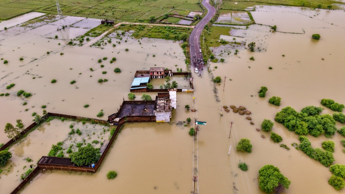 उत्तर प्रदेश में मूसलाधार बारिश से 15 की मौत, कई जिलों में खतरे की घंटी