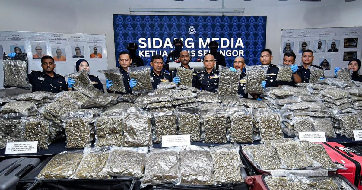 Sindikat bunga ganja bernilai RM33.4 juta berjaya diungkap, 12 suspek ditahan