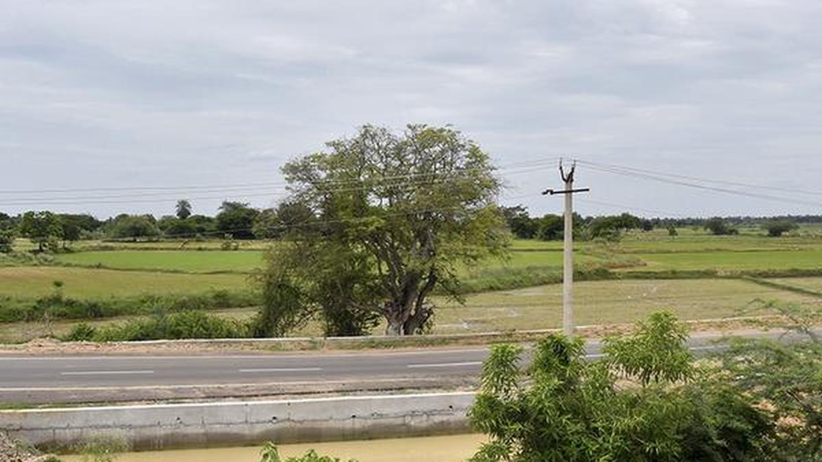 Tamil Nadu scraps Parandur airport plan after years of farmer protests