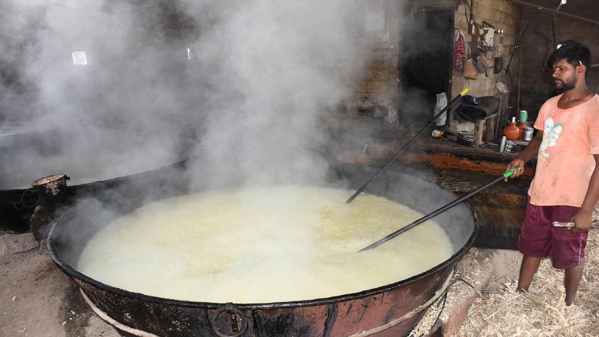 Karnataka sugar farmers push for ethanol production as prices surge