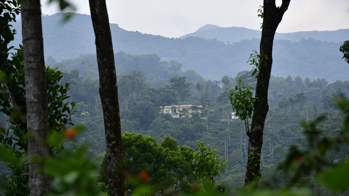 Karnataka tightens homestay regulations amid safety concerns