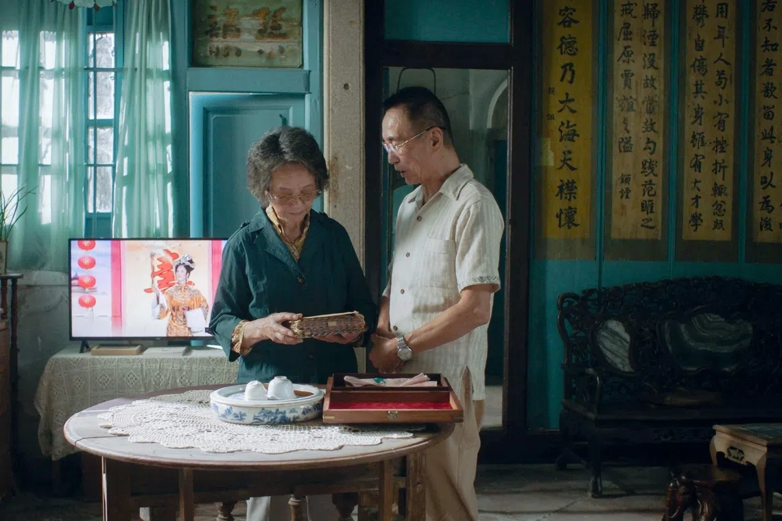 Singapore to ease dialect film restrictions with Mandarin dubbing requirement