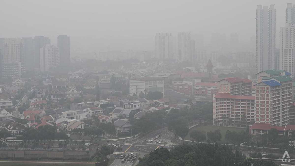 Singapore investigating corporate responsibility for transboundary haze incidents