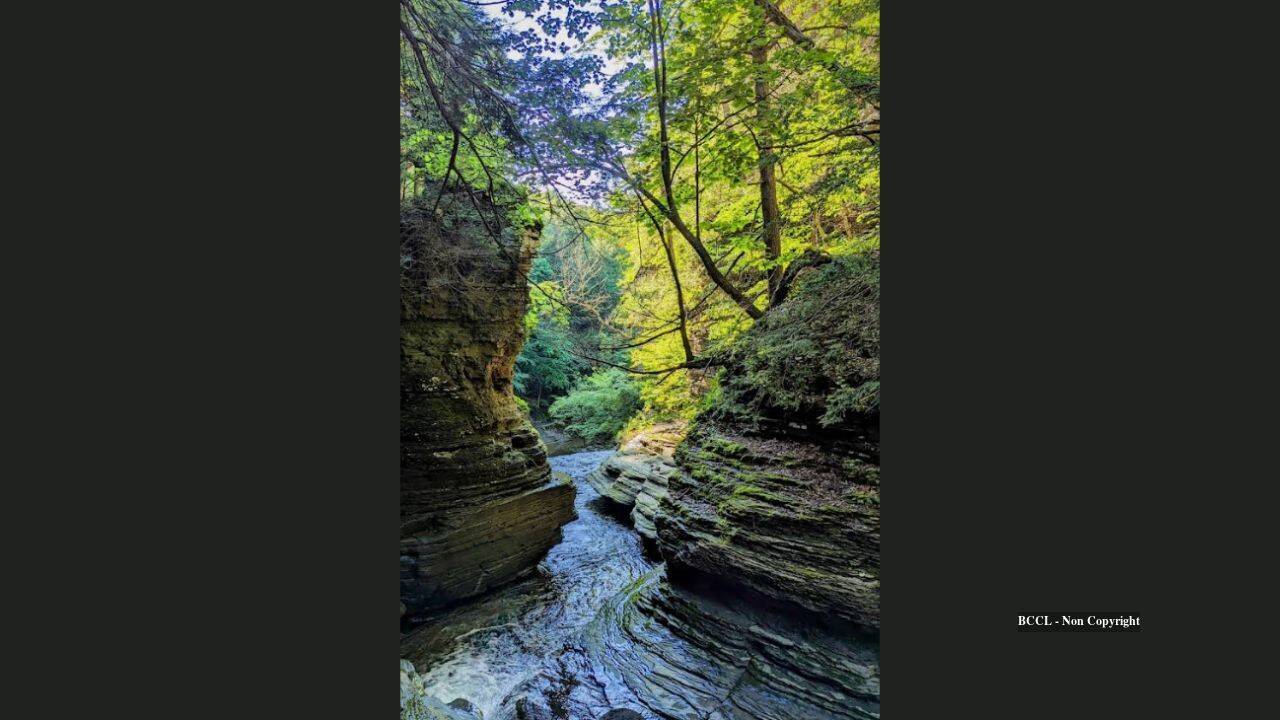 Land Trust Acquires $1.3M Property Near New York State Park