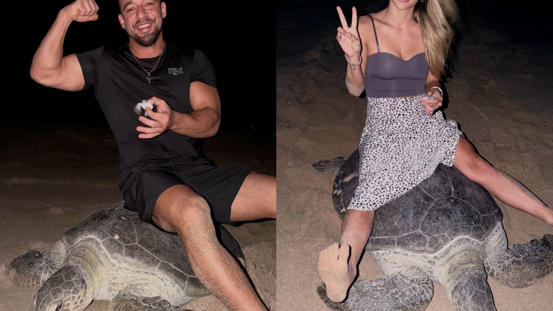 Tourists face prosecution over endangered turtle-riding incident in Oman