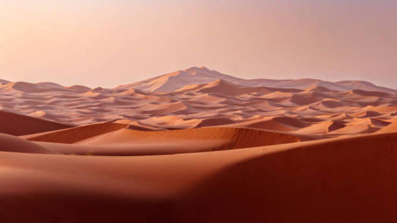 UAE researchers develop sustainable bricks using desert sand, slash cement demand