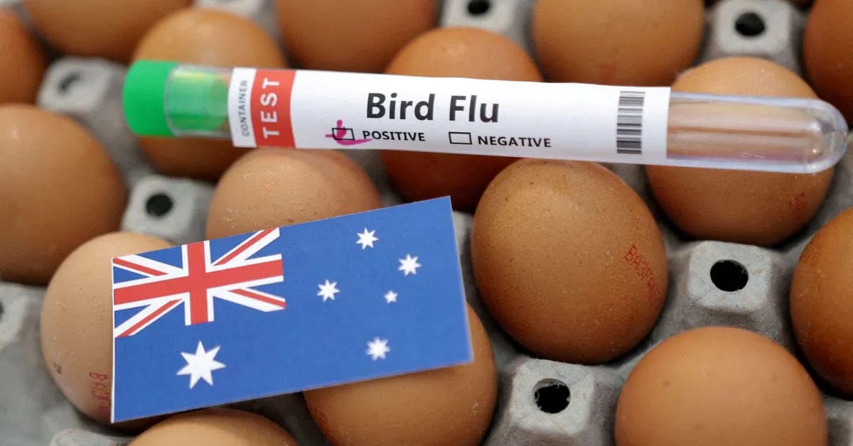 Australia reports first H5N1 bird flu case in mammal