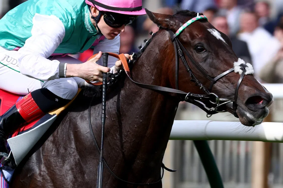 Blue Bolt claims fourth Group 1 victory in Sun Chariot Stakes