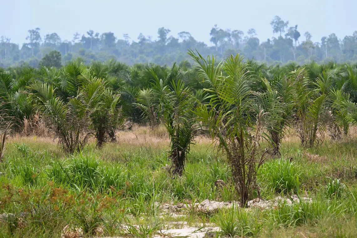 Indonesia plans commodity exchange to set benchmark prices