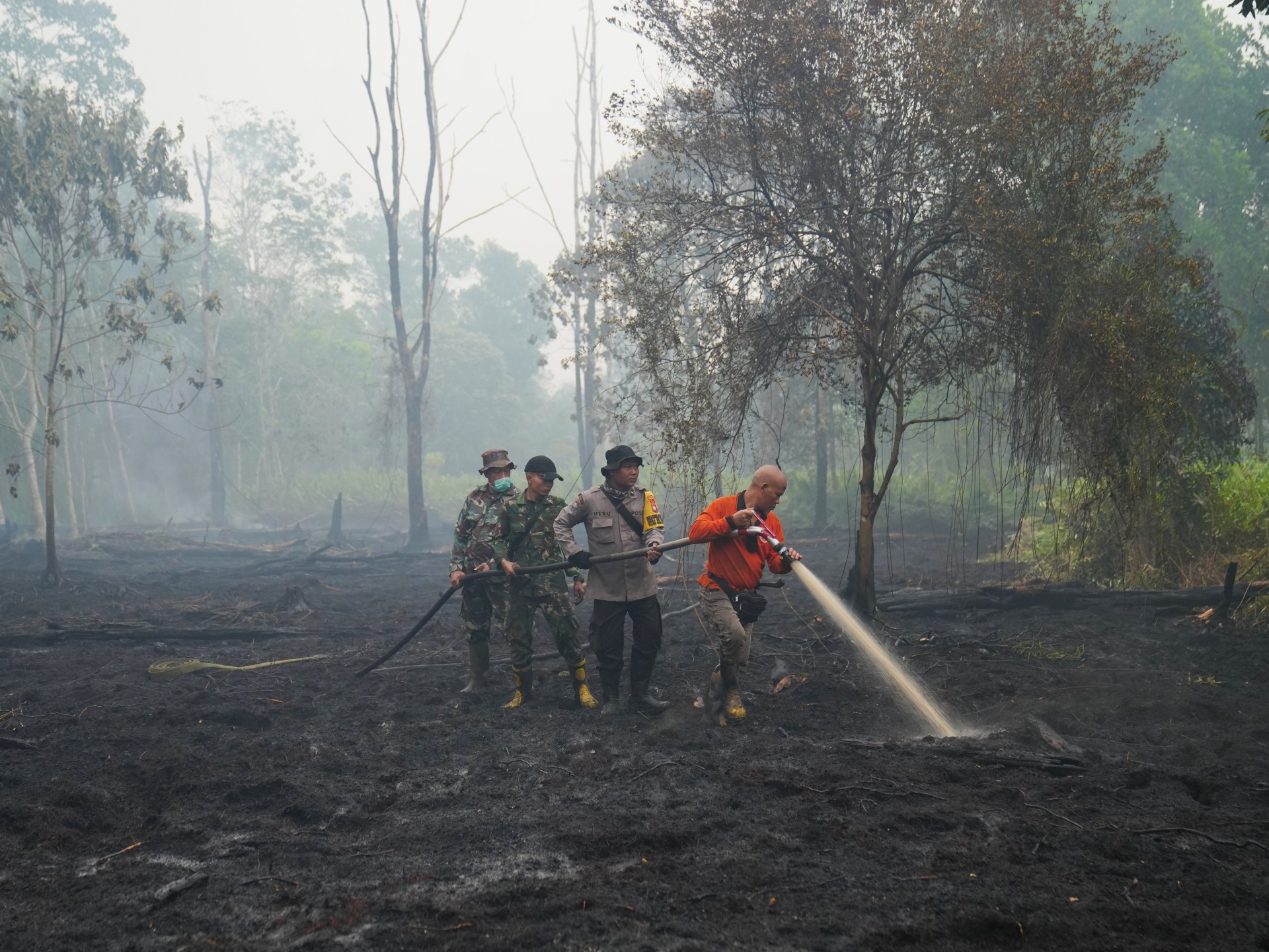 Scientists warn super El Niño could trigger 450,000 deaths globally