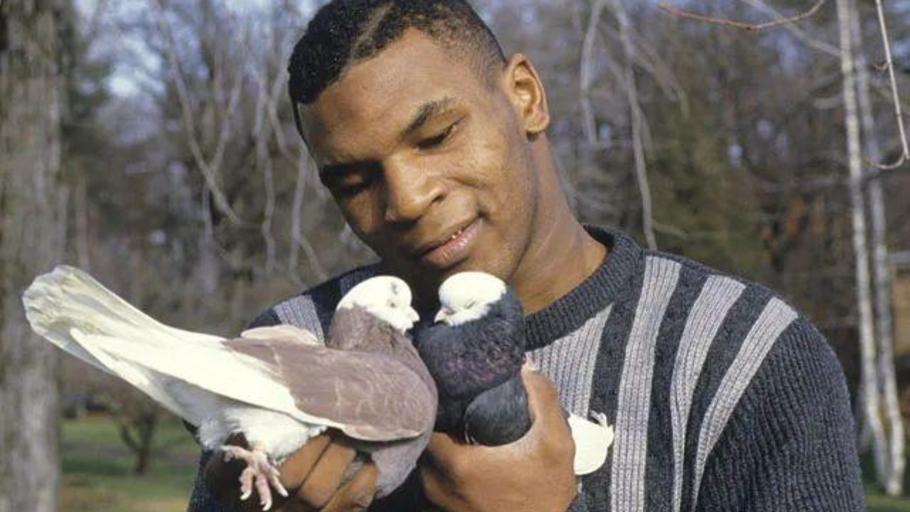 From Bullied Youth to Bird Lover: Tyson's Decades-Long Pigeon Passion