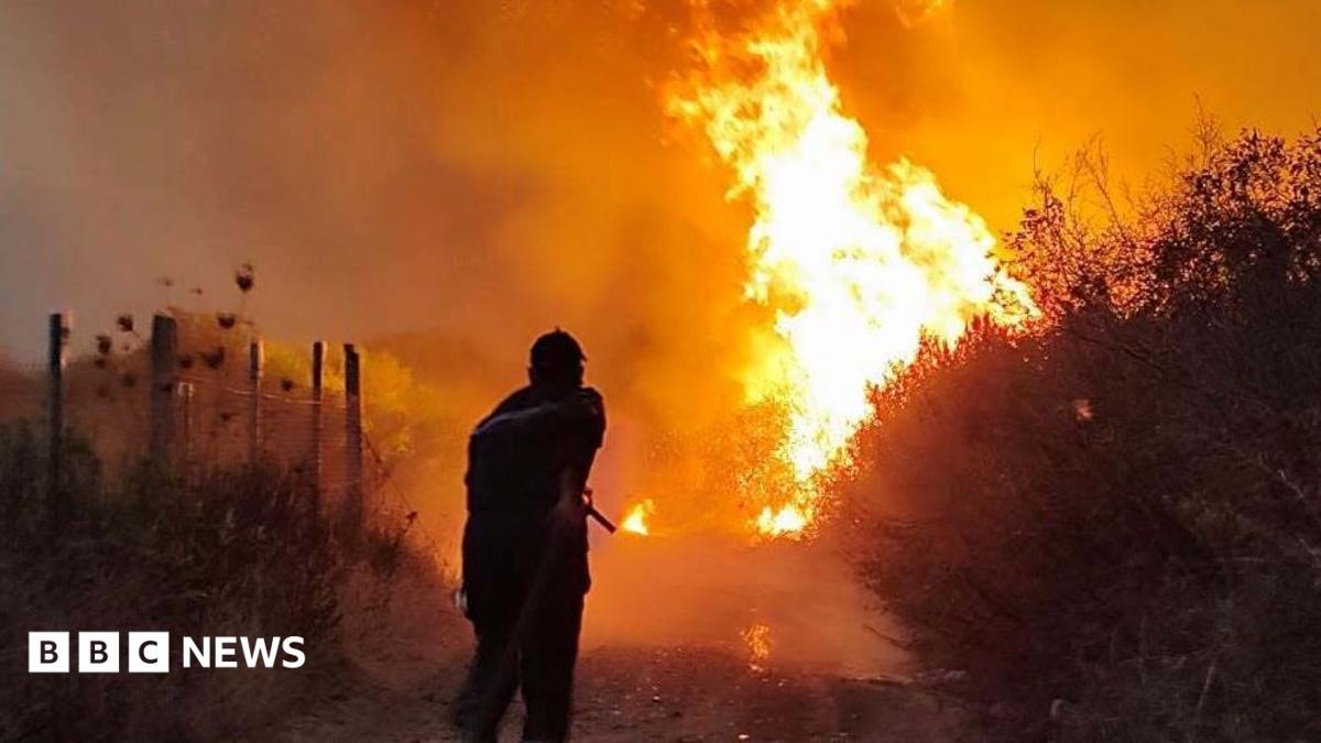 Algeria's president seeks capital punishment for wildfire arsonists