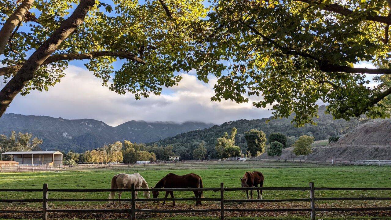 Land trust challenges road construction at California nature preserve