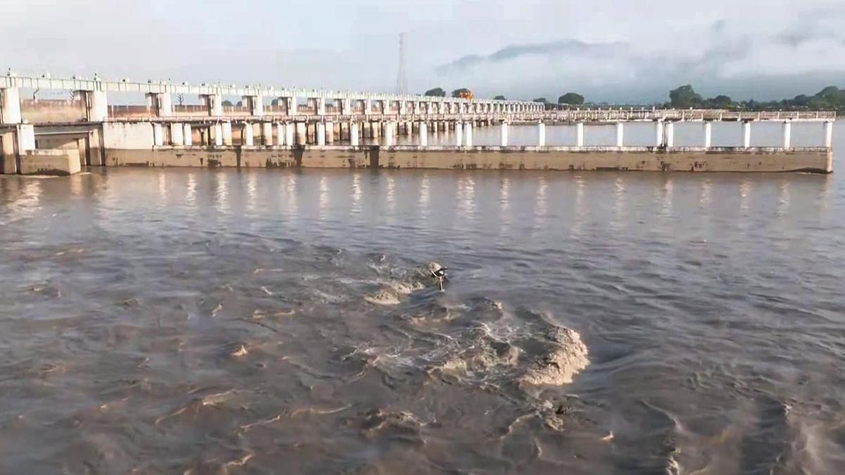 Bihar warns against consuming unusual fish from flood-affected areas