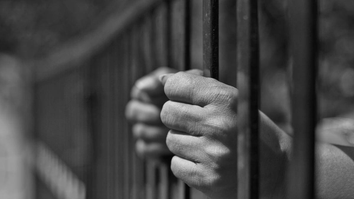 Activist-influencer Santosh Pandit remanded to 14-day judicial custody