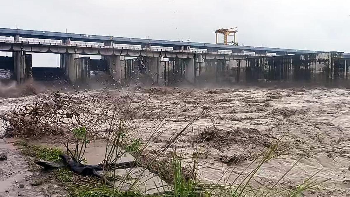 Army launches major search after boat capsizes in Yamuna River