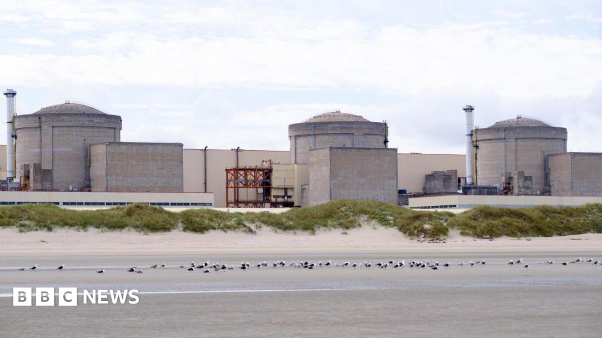 Jellyfish Swarms Force Shutdown of French Nuclear Facility