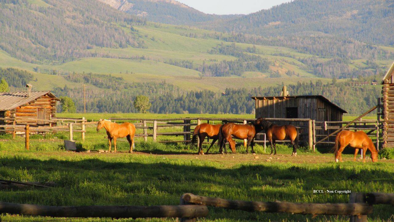 California coastal ranch fetches $22.55M at auction after dramatic price drop