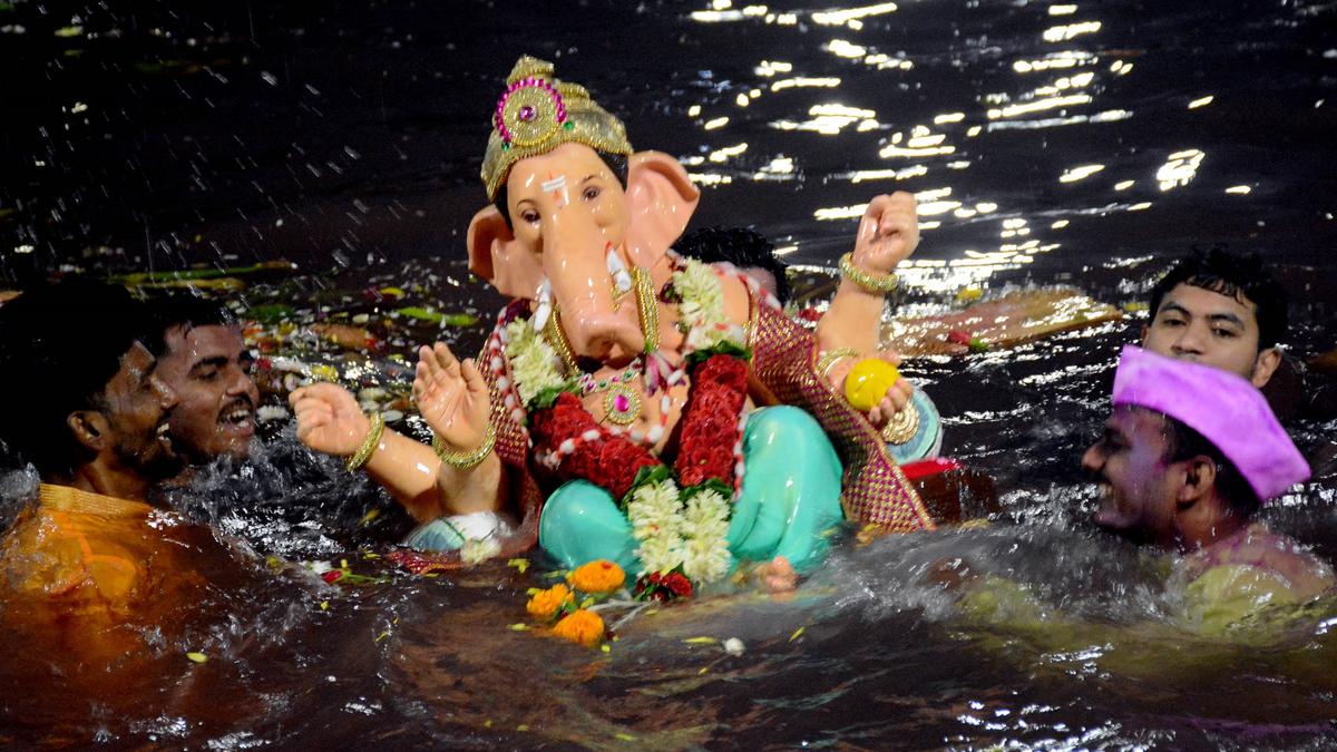 Karnataka student dies during Ganesh idol immersion ritual