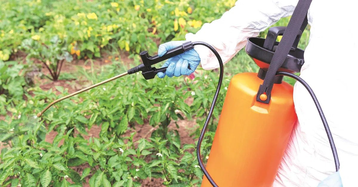 China set to export 1.2 million tonnes of urea to India