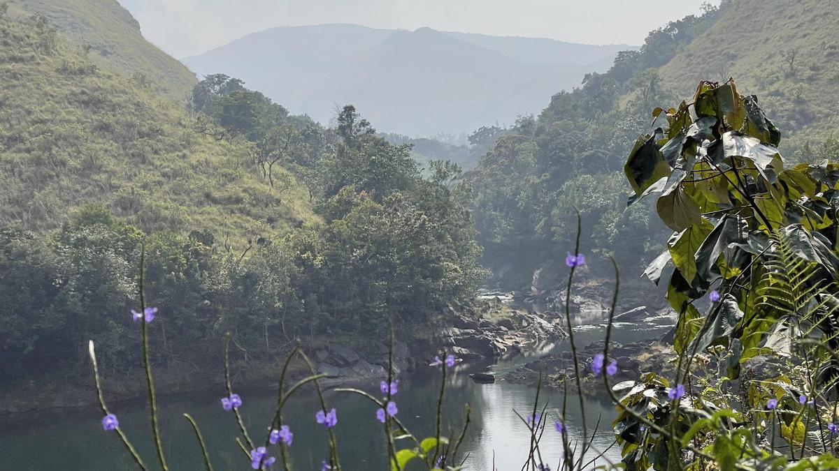 कस्तूरीरंगन रिपोर्ट पर जनमत संग्रह के लिए मुख्यमंत्री करेंगे जनसभाएं