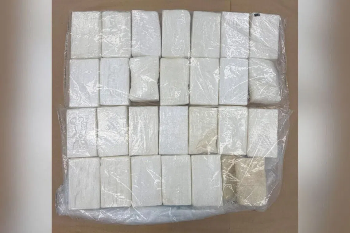 Singapore seizes over 28kg of cocaine from foreign vessel