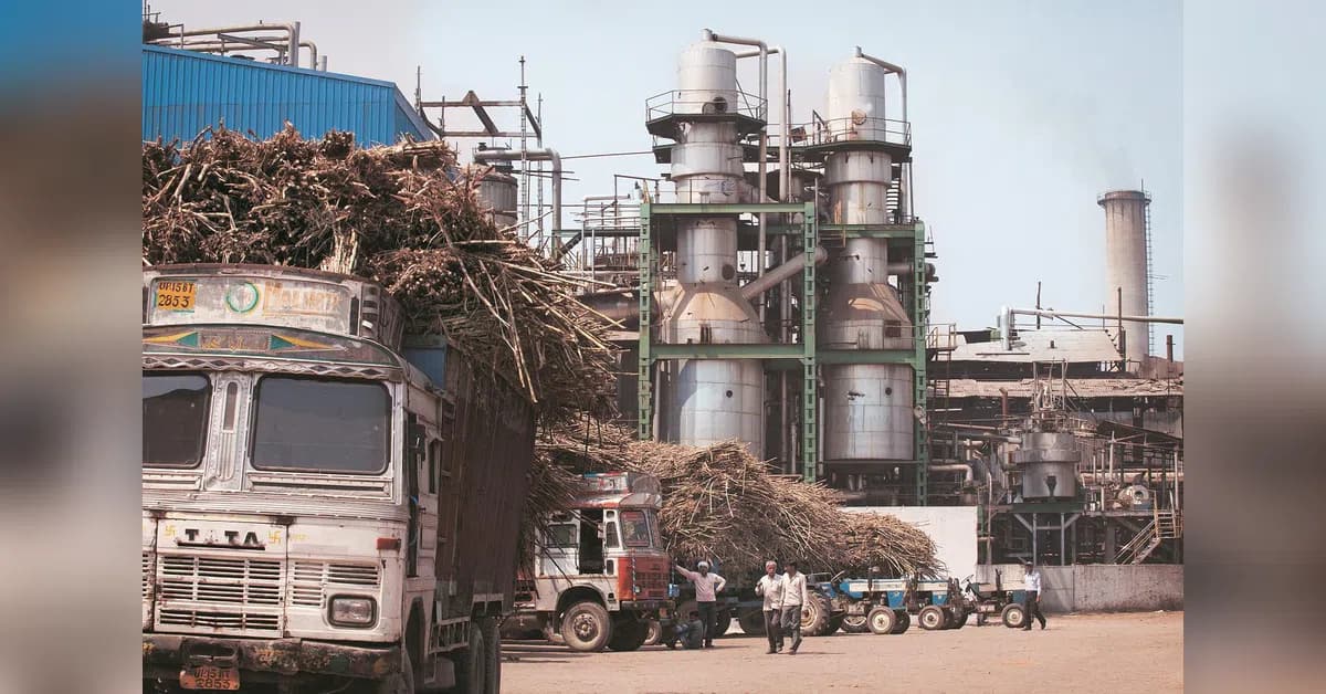 Sugar Mills Question Retail Price Lag as Ex-Mill Rates Plunge