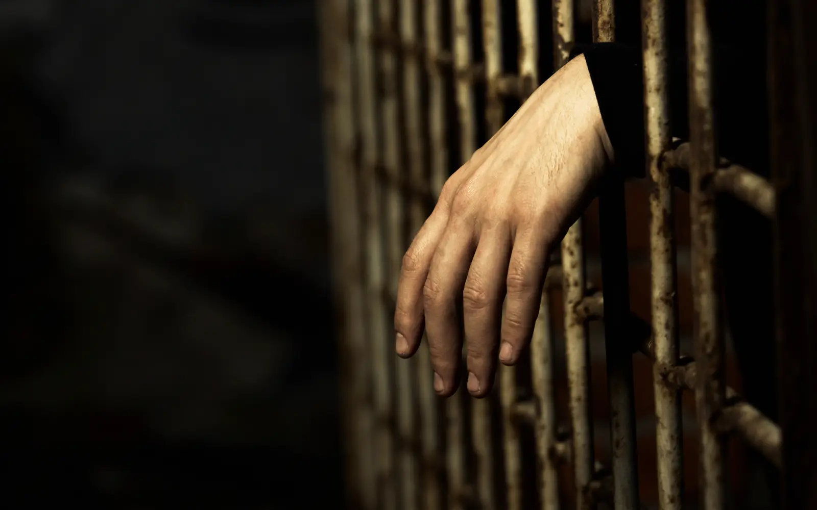 Syria detains Bashar al-Assad's cousin, former military officer
