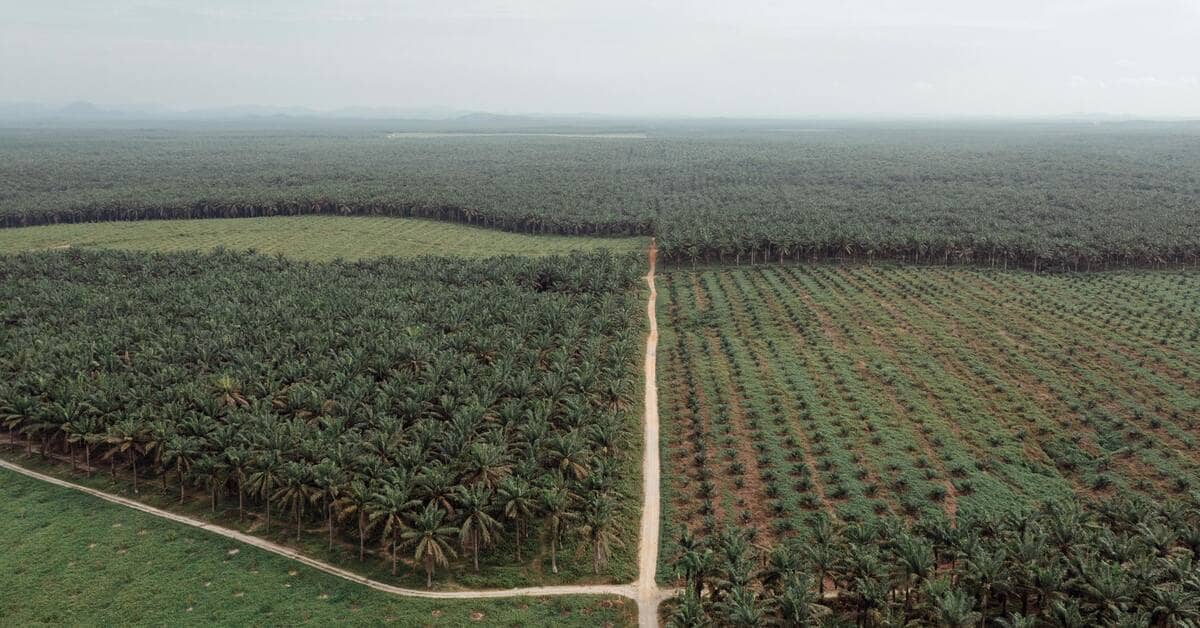 Conflict and climate extremes threaten Asia's food security outlook
