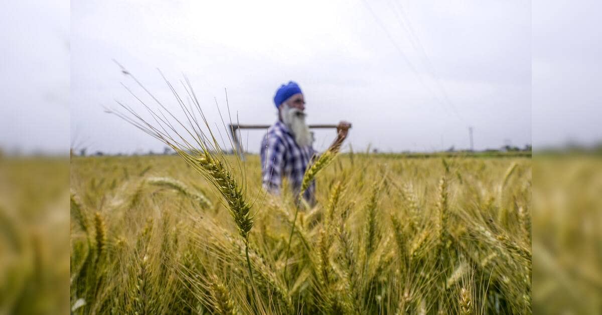 Target pressure weakens farmer producer organisations, survey finds