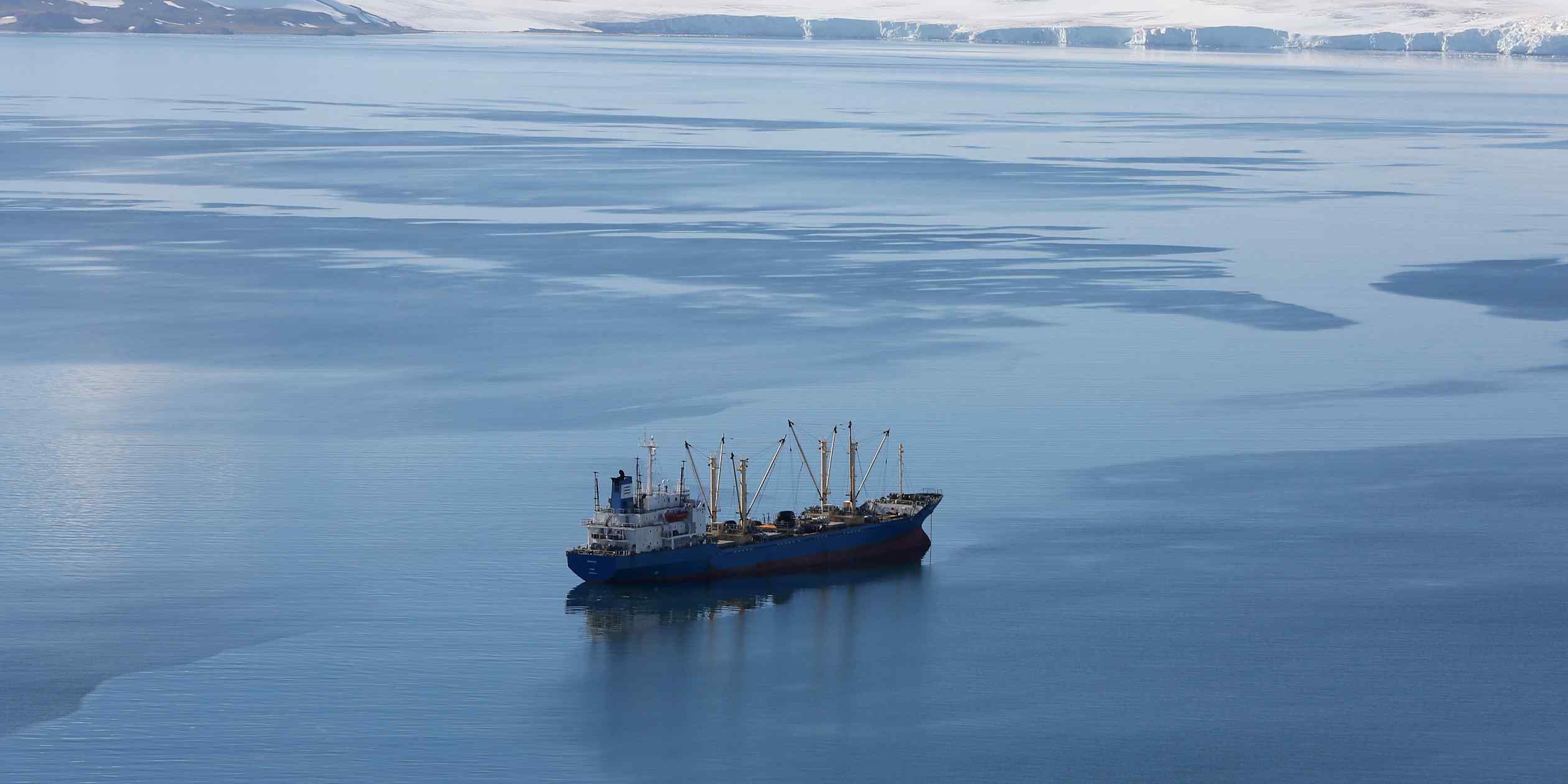 Antarctic krill fishery faces pressure as geopolitical tensions escalate