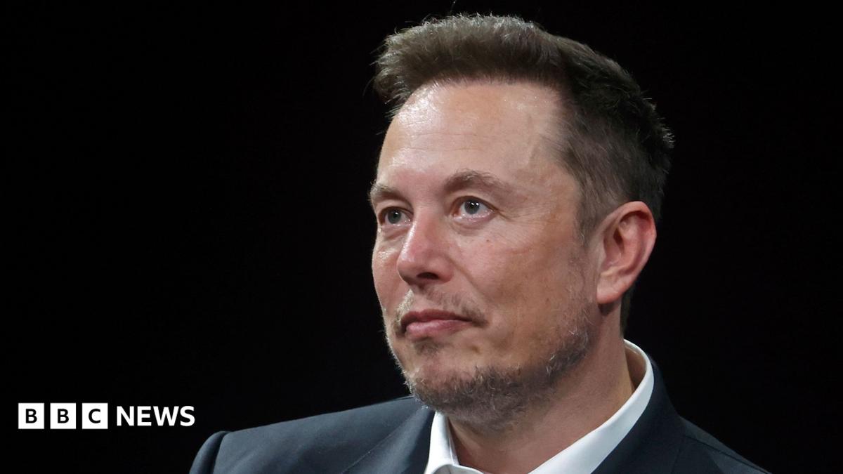 Washington backs Musk's challenge to EU's €120 million X fine