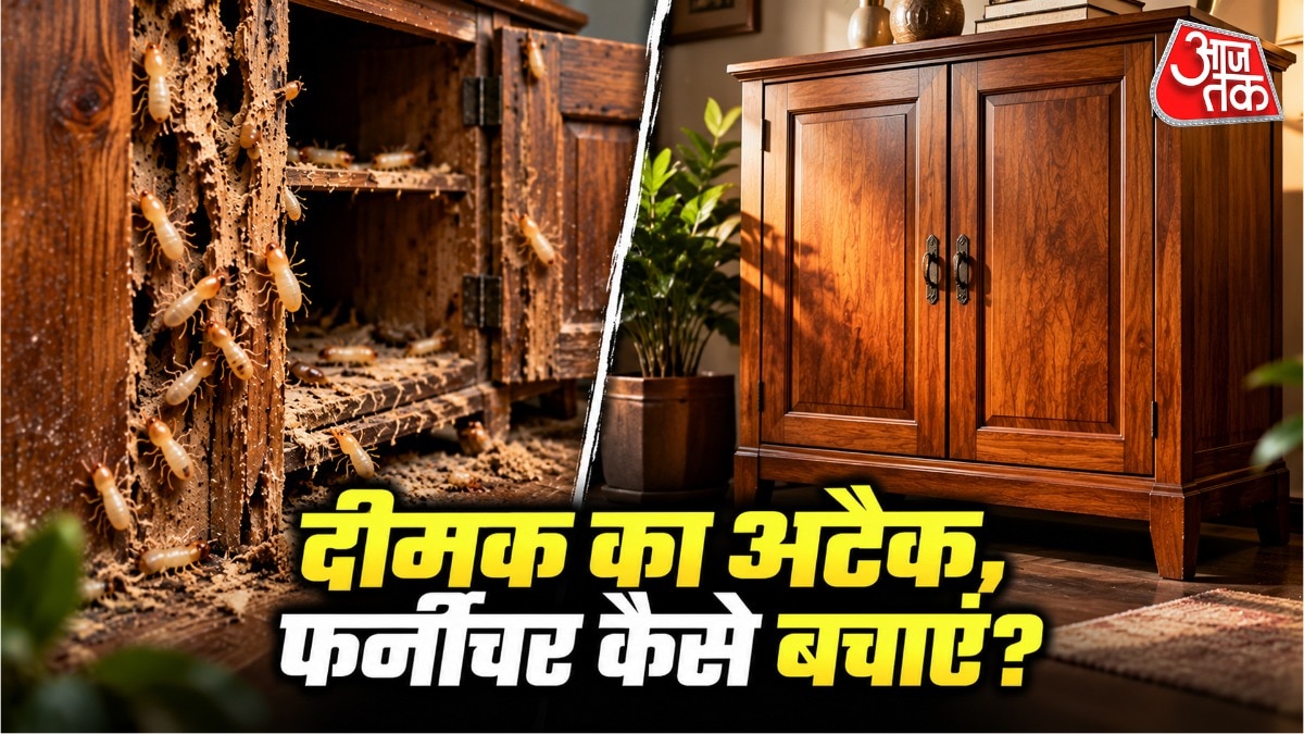 Natural remedies offer cost-effective termite protection for wooden furniture