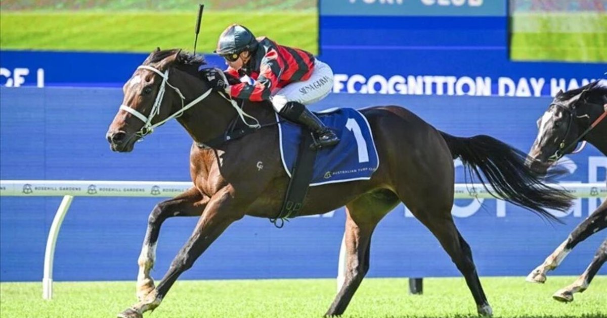 Waller prepares runner for Caulfield Guineas showdown