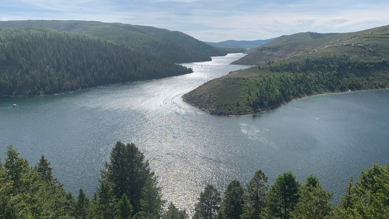 Utah's 1990 Fish Removal: Watershed Moment in Ecosystem Restoration