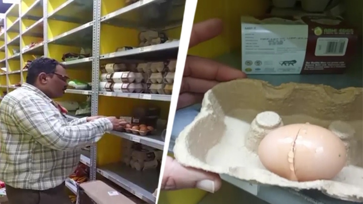 Food Safety Officials Act After Live Insect Found in Online Egg Order