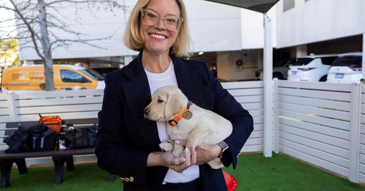 Man charged with threatening Australian MP's office days after assault