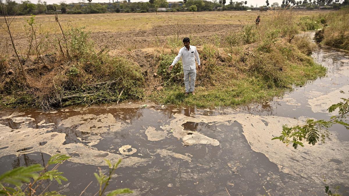 Ethanol firm seeks damages from Andhra farmer over pollution allegations