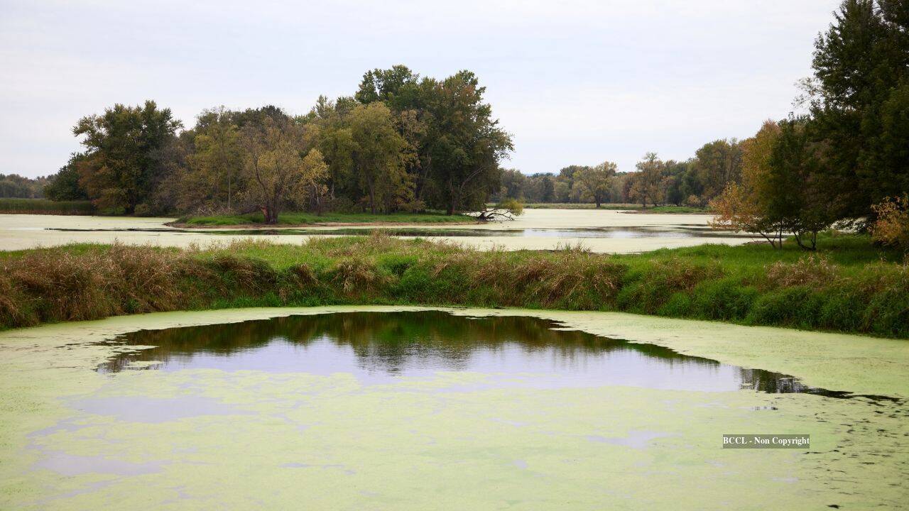 US family secures floodplain protection after decade-long conservation battle