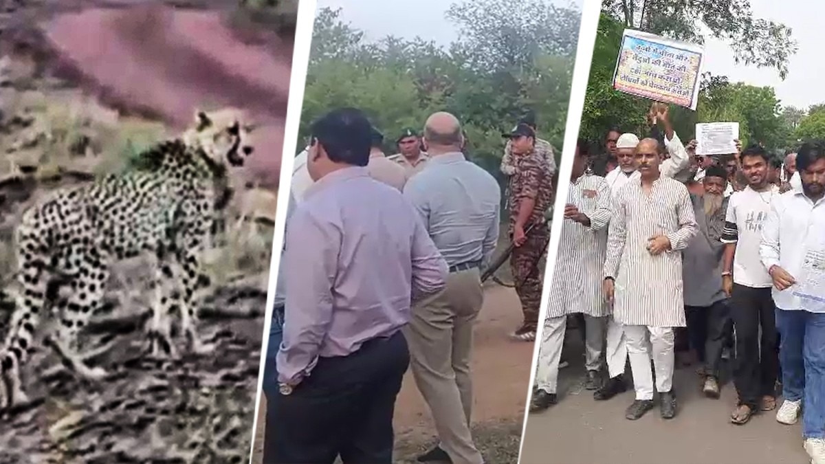 Outcry over cheetah shooting at Kuno National Park in Madhya Pradesh