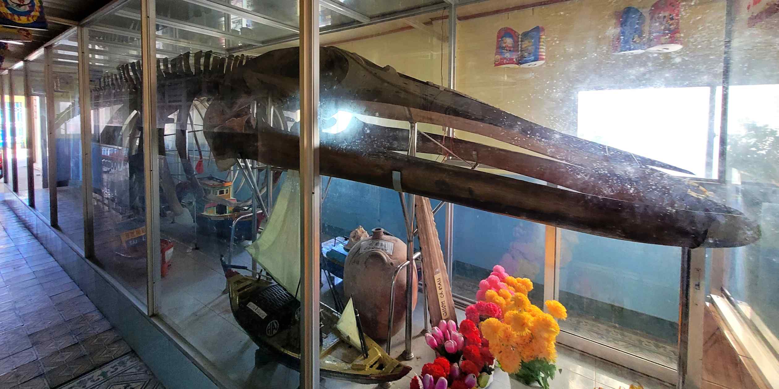 Vietnam's Sacred Whale Temples Unlock Maritime History Secrets