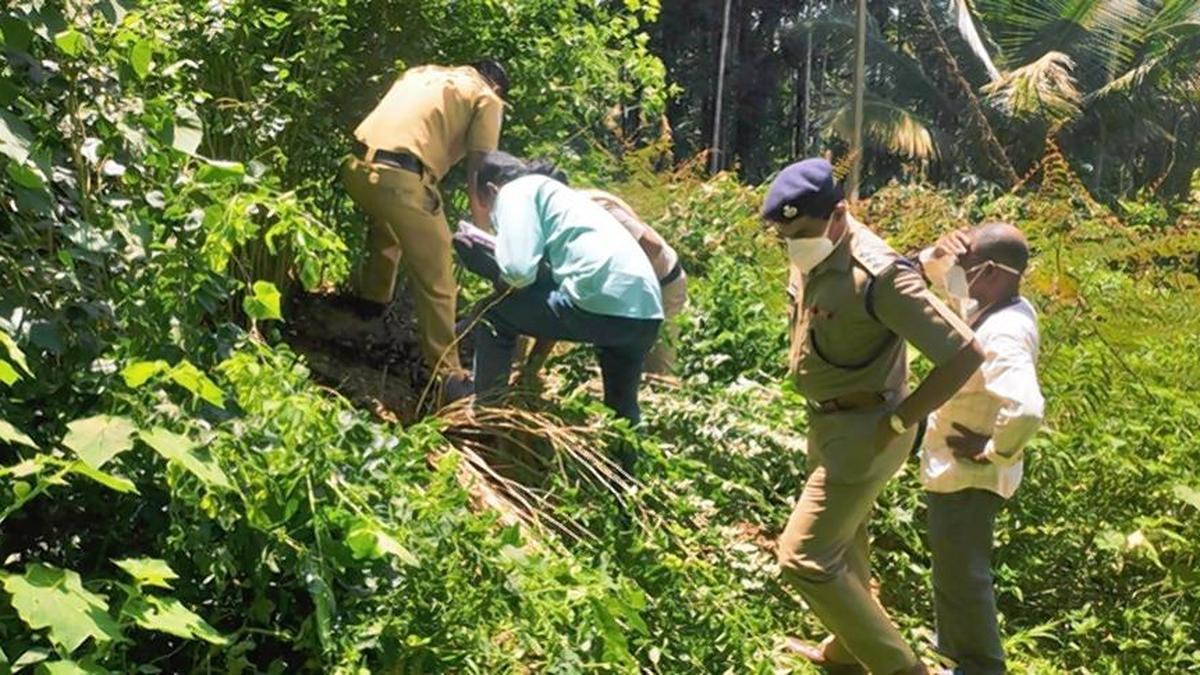मुट्टिल वृक्ष कटाई मामले में केरल उच्च न्यायालय ने रोजी ऑगस्टीन की याचिका खारिज की