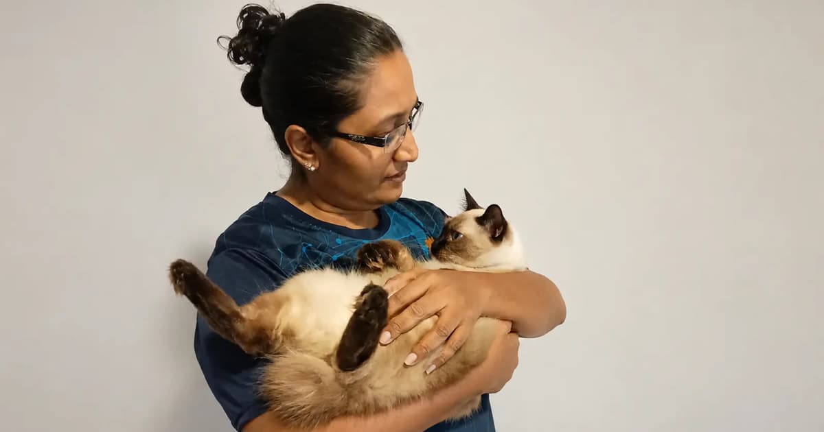 Kehilangan Ibu Bapa Dorong Mohana Dedikasikan Hidup untuk Kucing Terlantar